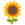 🌻