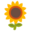 🌻